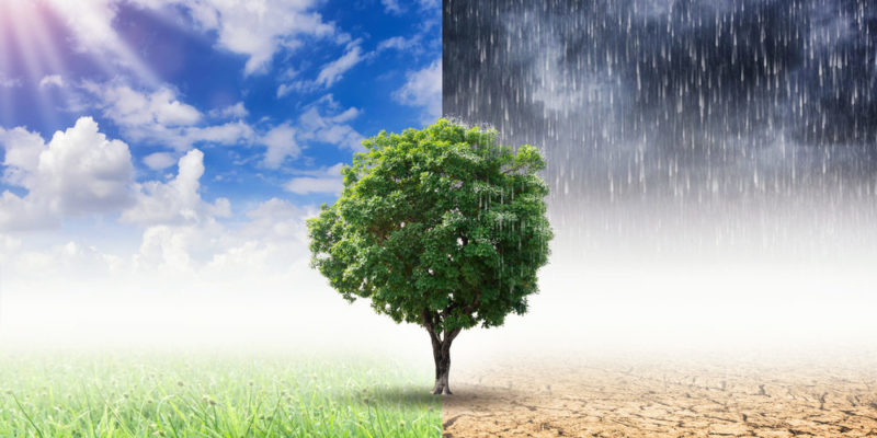 cambio climático